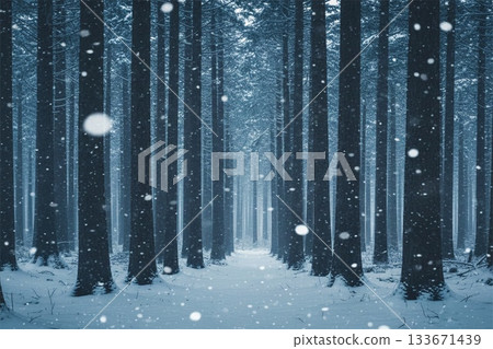 A quiet and fantastical winter landscape series depicting a coniferous forest bathed in snow and winter light. 133671439