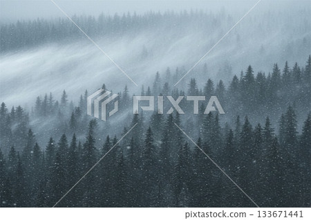 一組寧靜而夢幻的冬季風景畫,描繪了白雪皚皚、冬日陽光灑滿的針葉林。 一組寧靜而夢幻的冬季風景畫,描繪了白雪皚皚、冬日陽光灑滿的針葉林。 133671441