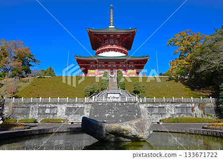 成田山新勝寺的和平大塔 成田山新勝寺的和平大塔 133671722