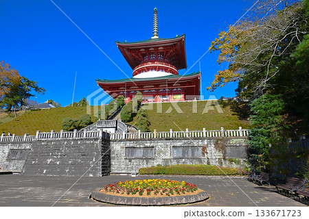 成田山新勝寺的和平大塔 成田山新勝寺的和平大塔 133671723