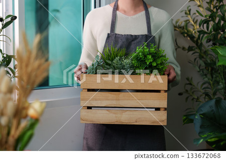 Sustainable Gardening. Person holding wooden crate with fresh plants indoors. Sustainable Gardening. Person holding wooden crate with fresh plants indoors. 133672068