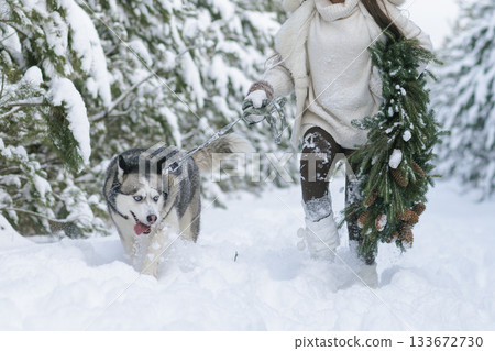 snow dog Husky in the snow on the background of the forest, snowy forest and dog. 133672730