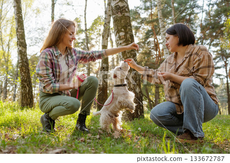 Two female owners reward small terrier on leash with treats in green forest showing outdoor pet training exercise and positive animal care Two female owners reward small terrier on leash with treats in green forest showing outdoor pet training exercise and positive animal care 133672787