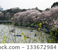 Cherry blossoms in full bloom and a boat floating on the water 133672984