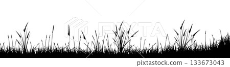Meadow silhouette with grass, plants on plain. Panoramic summer lawn landscape with herbs, various weeds. Herbal border, frame element. Black horizontal banners. Vector illustration Meadow silhouette with grass, plants on plain. Panoramic summer lawn landscape with herbs, various weeds. Herbal border, frame element. Black horizontal banners. Vector illustration 133673043