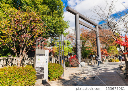 松本市，名手通和志賀神社，秋景 133673081