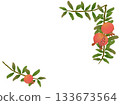 Pomegranate Frame 133673564