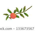 Pomegranate One Point 3 133673567