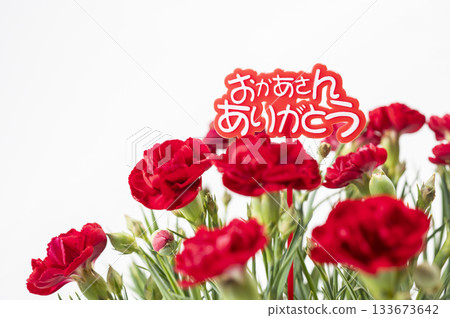 Thank you mom, red carnation Thank you mom, red carnation 133673642