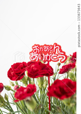 Thank you mom, red carnation Thank you mom, red carnation 133673643