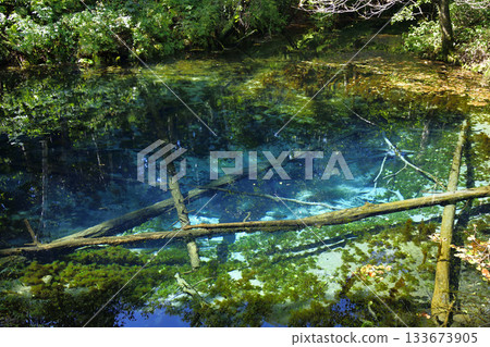 夏末的卡米諾科池塘 夏末的卡米諾科池塘 133673905