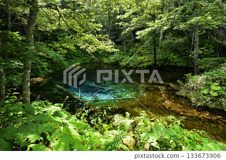 Kaminoko Pond at the end of summer 133673906