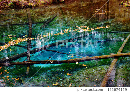 初秋的雨水落在神之子的池塘上 初秋的雨水落在神之子的池塘上 133674159