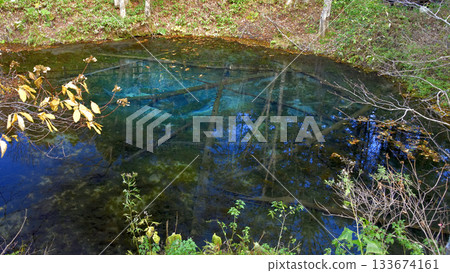 初秋的雨水落在神之子的池塘上 初秋的雨水落在神之子的池塘上 133674161