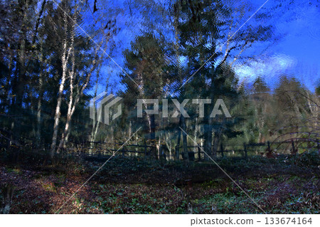 初秋的雨水落在神之子的池塘上 初秋的雨水落在神之子的池塘上 133674164