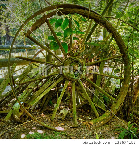 Old Vintage Cart Spoke Wheel Old Vintage Cart Spoke Wheel 133674195