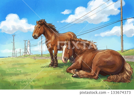 悠閒的馬兒們的景象 133674373