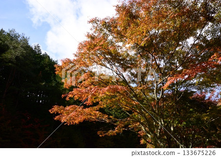 比叡山 比叡山 133675226