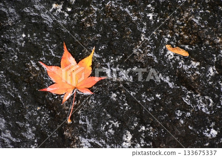 Hieizan Hieizan 133675337