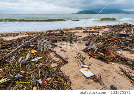 Piles of garbage and waste on the beach by the sea after a storm in cloudy rainy weather. Environmental disaster 133675871