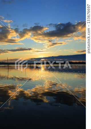 Asahi reflected on the surface of the water 133676697