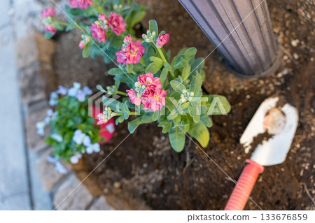 Planting flower seedlings in the small flower bed under the mailbox Planting flower seedlings in the small flower bed under the mailbox 133676859