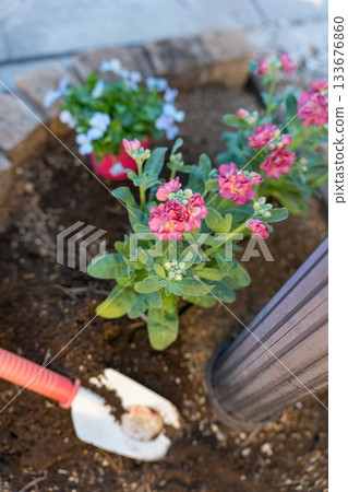 在郵筒下的小花壇裡種花苗。 在郵筒下的小花壇裡種花苗。 133676860