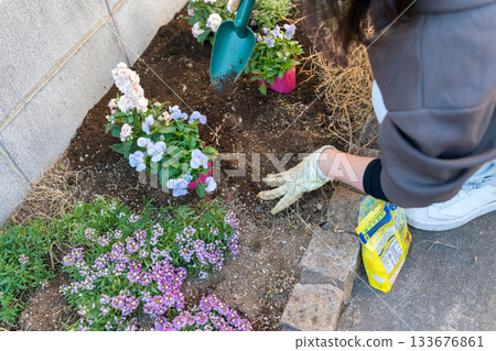 female, lady, woman 133676861