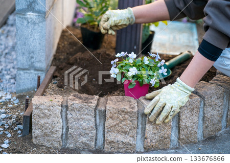 female, lady, woman 133676866