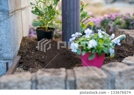 Planting flower seedlings in the small flower bed under the mailbox Planting flower seedlings in the small flower bed under the mailbox 133676874