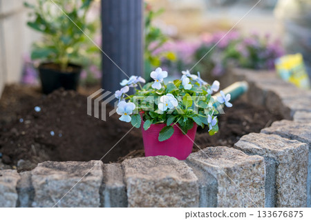 在郵筒下的小花壇裡種花苗。 133676875