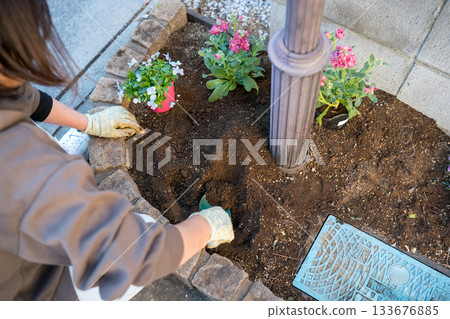 female, lady, woman 133676885