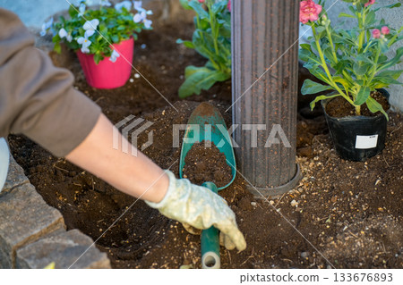 female, lady, woman 133676893