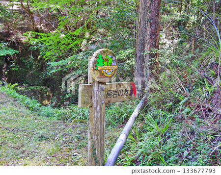 Takaiwa Falls in Fukakura Gorge at the foot of Mt. Shojigatake in Soeda Town, Fukuoka Prefecture 133677793