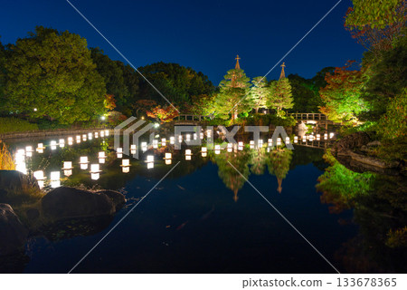 名古屋白鳥庭園的夜景 名古屋白鳥庭園的夜景 133678365