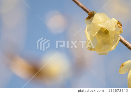 在藍天的蠟配管 在藍天的蠟配管 133678543