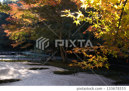 北鎌倉明月院後花園 133678555