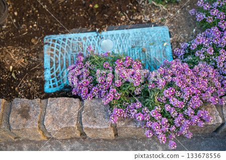 花壇裡的電錶箱 133678556