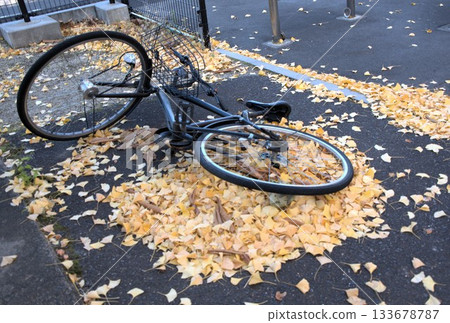 自行車停車場裡的一輛自行車被強風和落下的銀杏葉吹倒(廢棄的自行車,深秋景色) 自行車停車場裡的一輛自行車被強風和落下的銀杏葉吹倒(廢棄的自行車,深秋景色) 133678787
