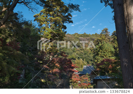 Kita Kamakura Enkakuji Temple 133678824