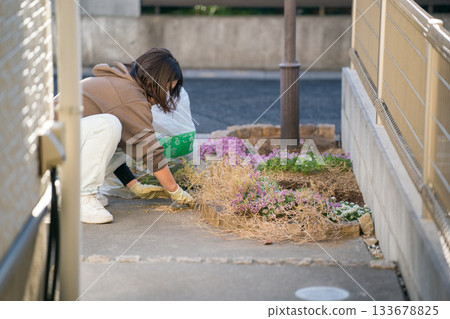 園藝 花園 院子 133678825