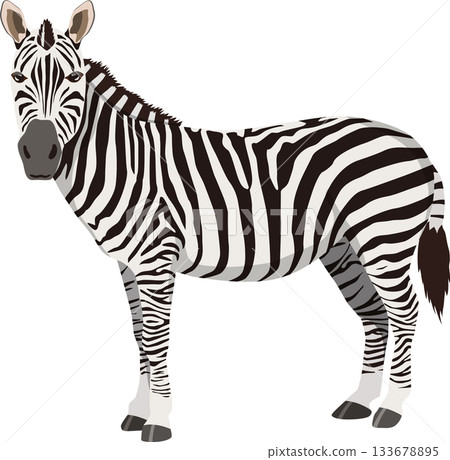 向左的斑馬 133678895