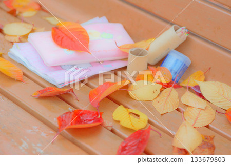 在長凳上的落葉 在長凳上的落葉 133679803