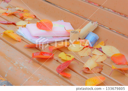 Fallen leaves on the bench Fallen leaves on the bench 133679805