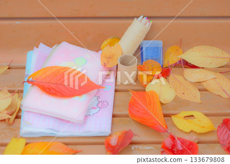 在長凳上的落葉 在長凳上的落葉 133679808