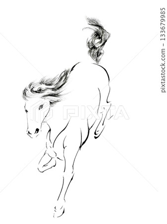 Horse illustrations for New Year's cards Horse illustrations for New Year's cards 133679985