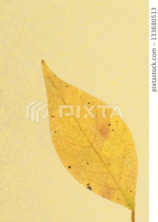 A collaboration of Japanese paper and the autumn leaves of the deciduous tree, Kuromoji [Background material] 133680513