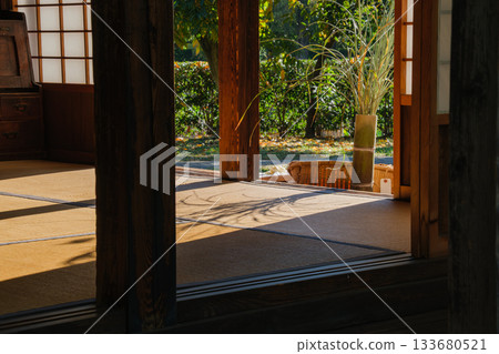 Pampas grass shadow 133680521