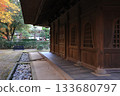 Burning maple leaves at Heirinji Temple 133680797