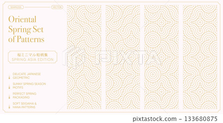 Oriental Spring Seamless Pattern Collection. Golden Geometric Waves and Hana Motifs for Elegant Japanese Packaging and Modern Asian Seasonal Design 133680875